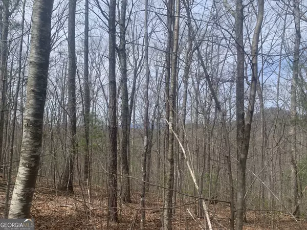Hiawassee, GA 30546,LOT 12 Enchantment WAY #12