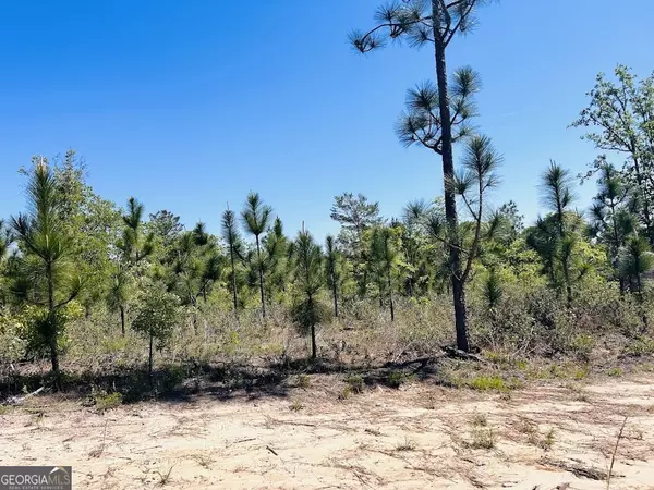 Mauk, GA 31058,538 Simmons RD