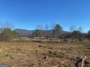 Chatsworth, GA 30705,613 Peachtree W