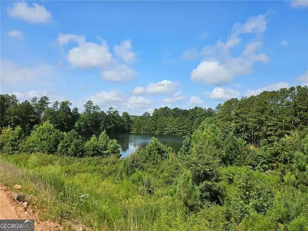 Grayson, GA 30017,114 Green Love Ln (56)