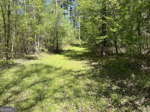 Talbotton, GA 31827,140 George Jordan WAY #207 ACRES