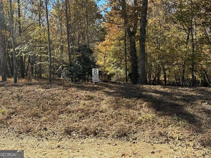 LOT 8 Clear Creek Preserve, Ellijay, GA 30536