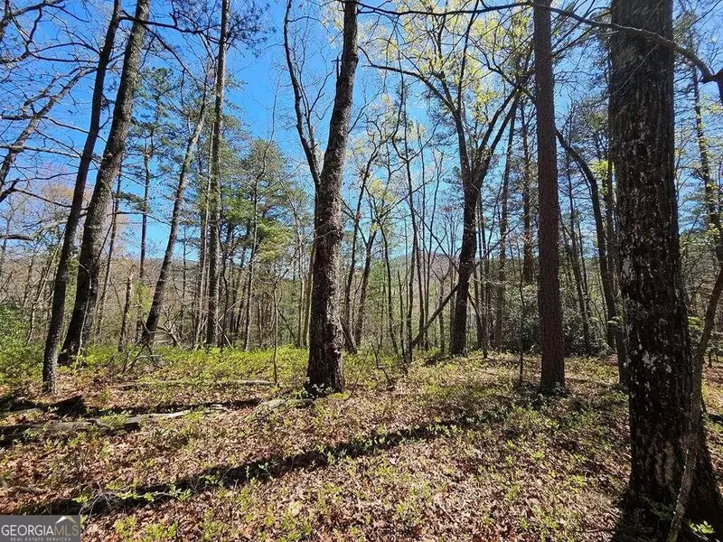 5.20 Deer Crest RD, Blue Ridge, GA 30513