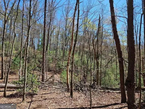Blue Ridge, GA 30513,5.20 Deer Crest RD