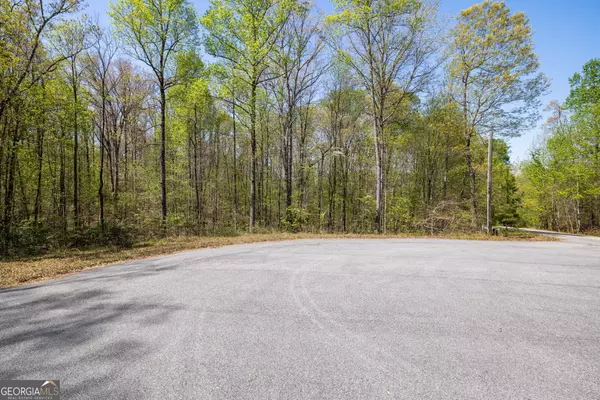 Demorest, GA 30535,0 Habersham Lakes RD