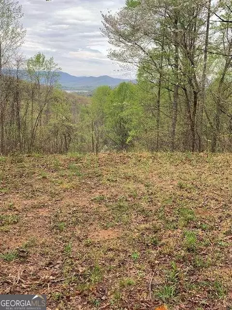 Hayesville, NC 28904,LT 10 High Meadows