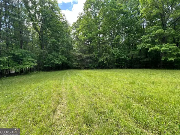 Madison, GA 30650,16.799+/- ACRES Pierce Dairy RD