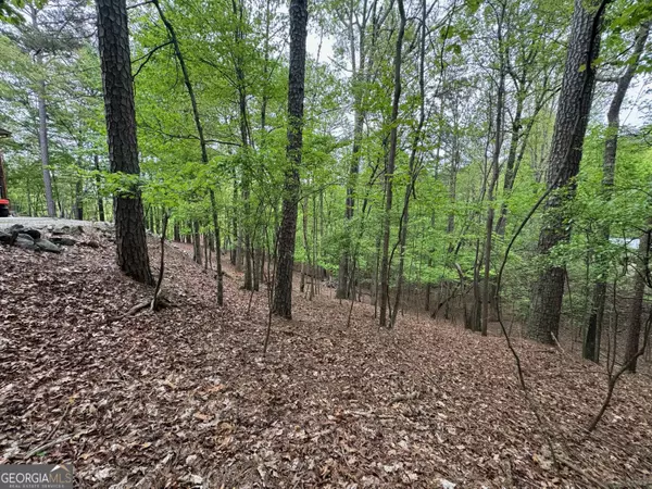 Ellijay, GA 30540,LOT 1833 Newport