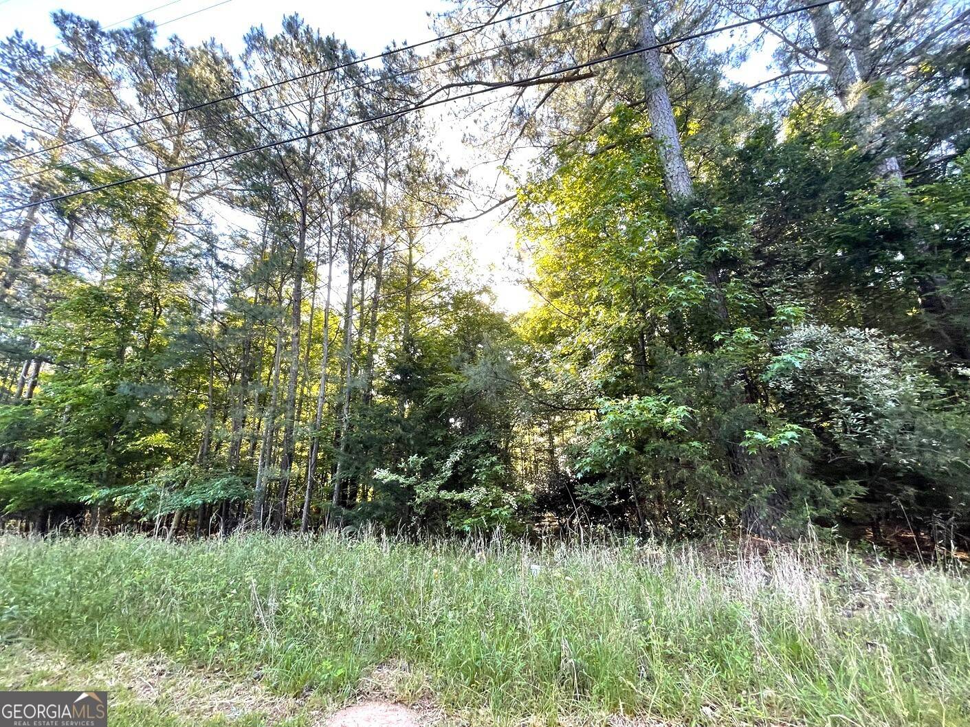 Elberton, GA 30635,0 Limo RD