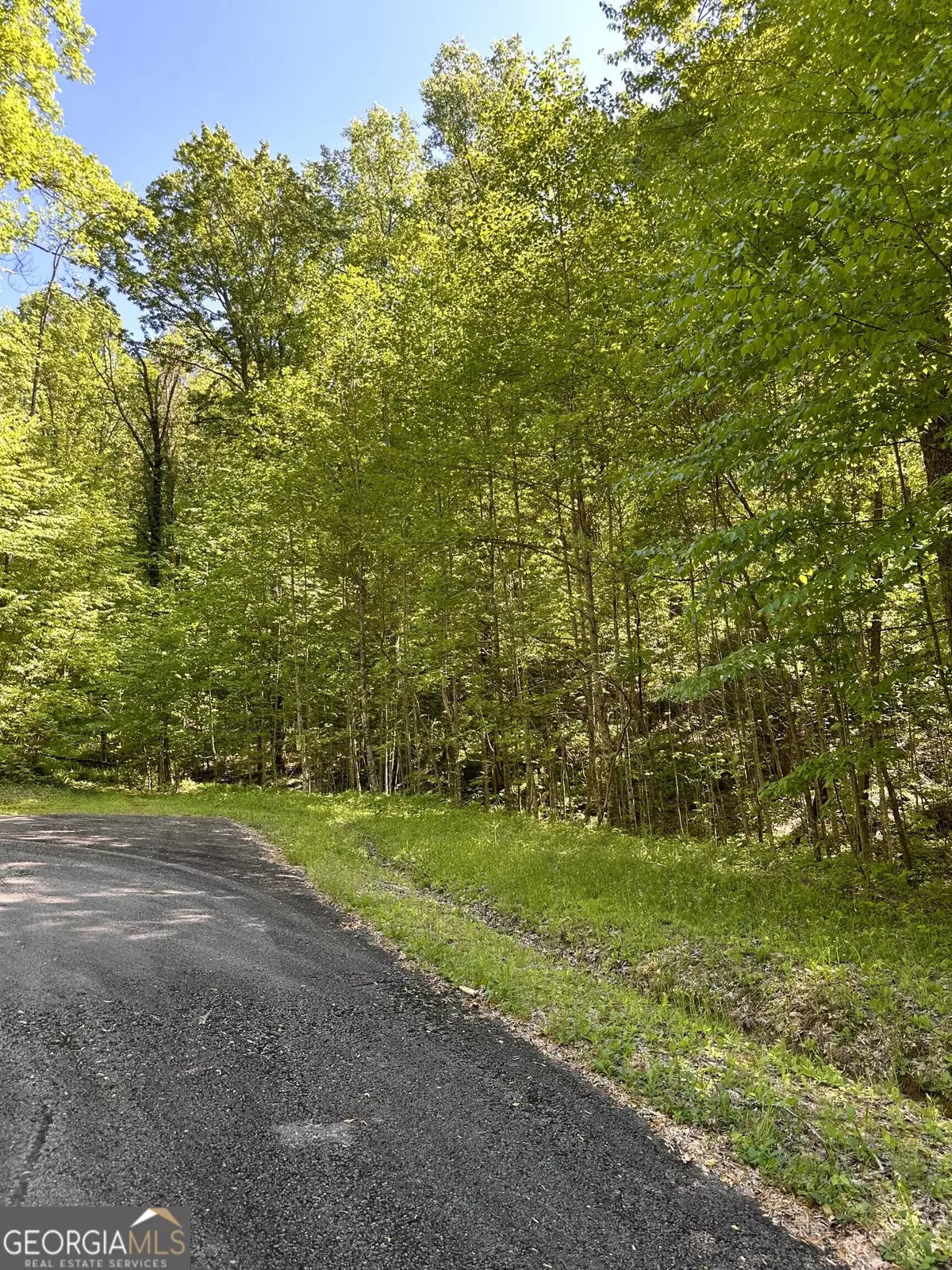 Ellijay, GA 30536,LOT 25 Goldmine Gap RD