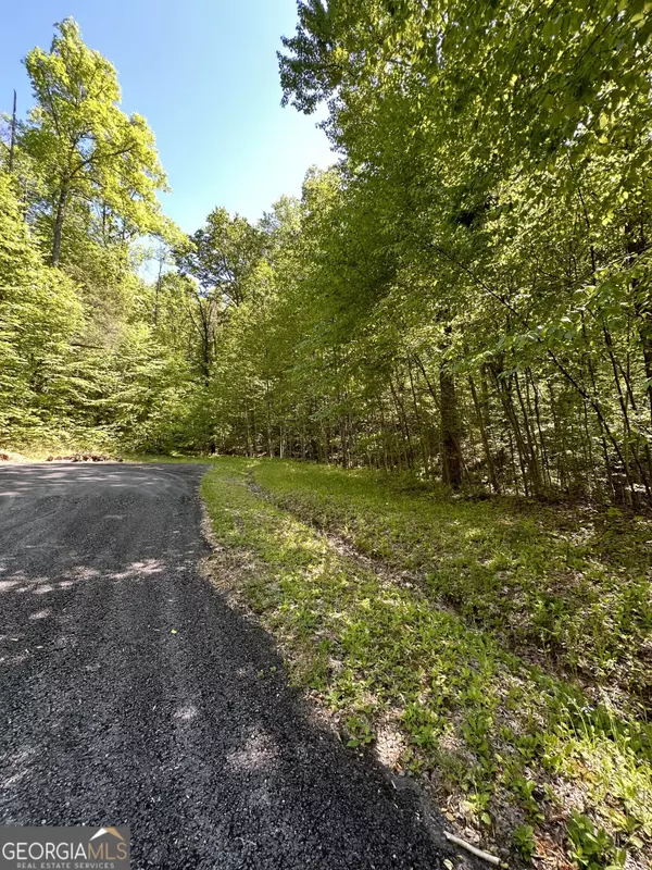 Ellijay, GA 30536,LOT 25 Goldmine Gap