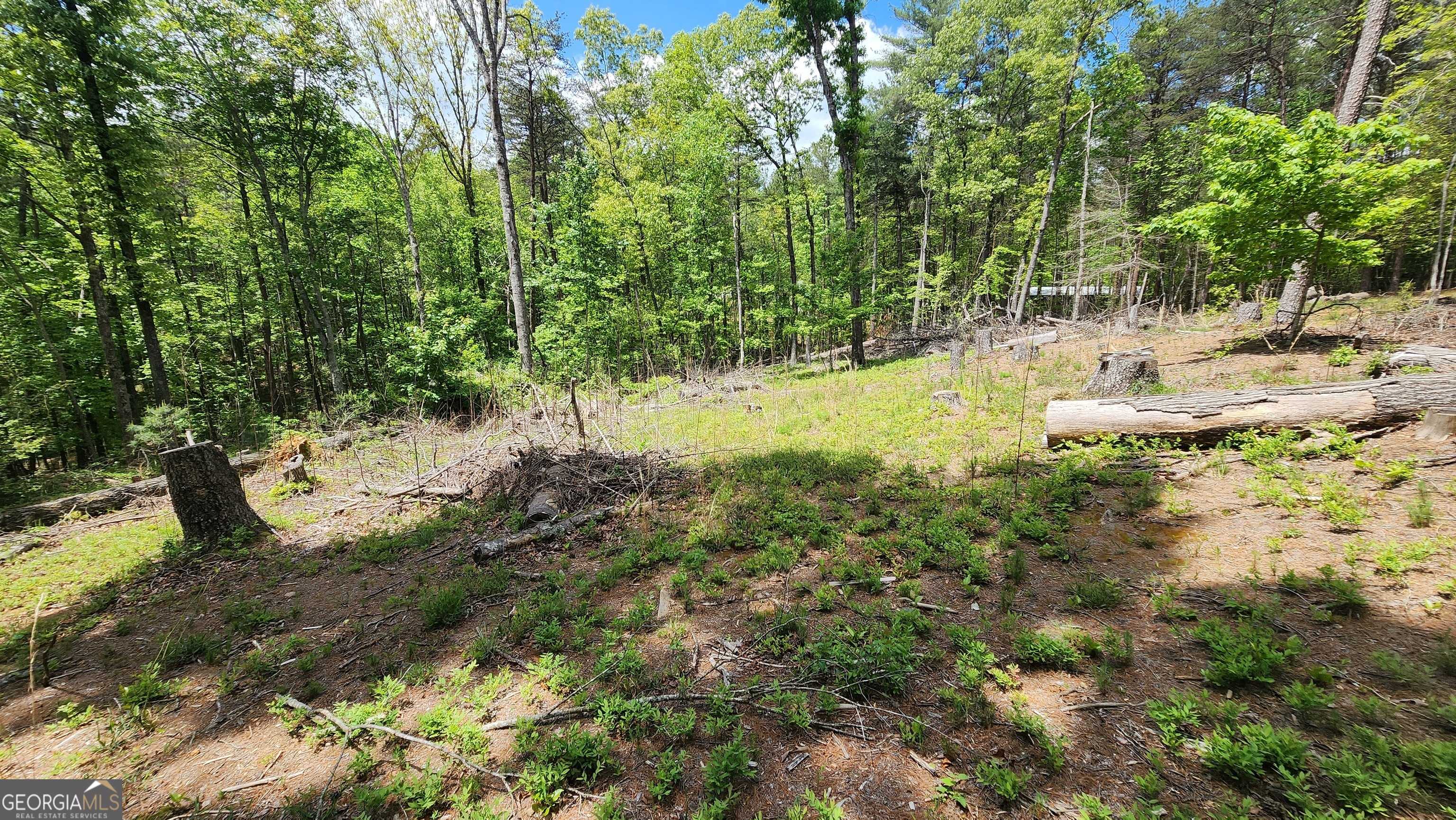 Demorest, GA 30535,1361 Soque Ridge CIR