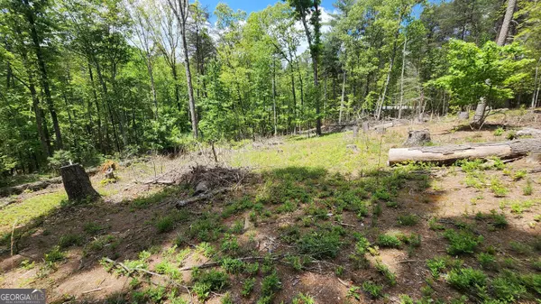 Demorest, GA 30535,1361 Soque Ridge CIR