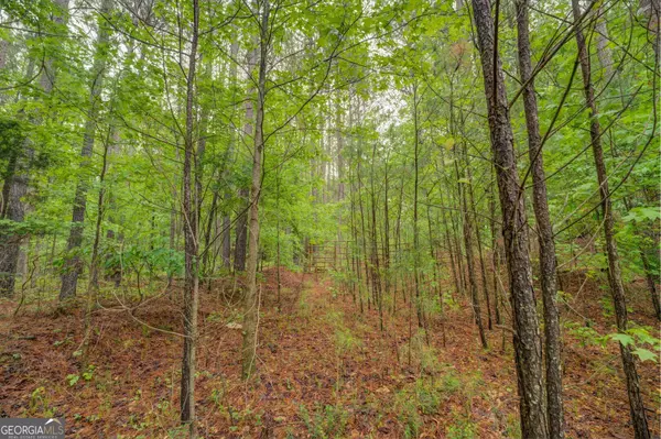 Shady Dale, GA 31085,0 Jeffries RD #TRACT A 32.55