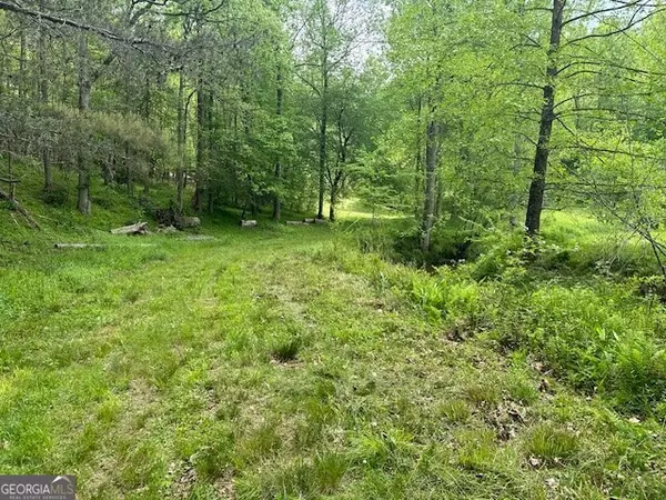 Ellijay, GA 30536,LOT 9 Clear Creek Preserve