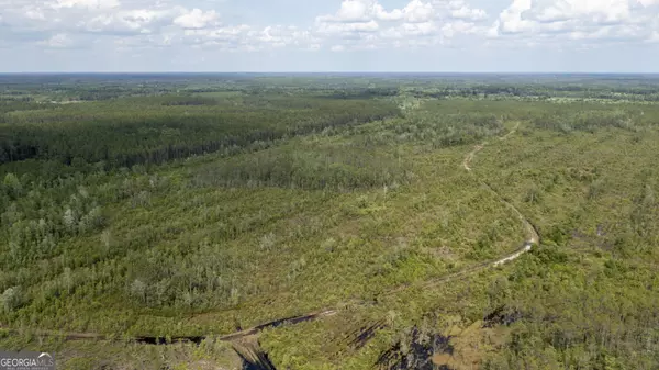 Nahunta, GA 31553,5023 Bachlott Church RD