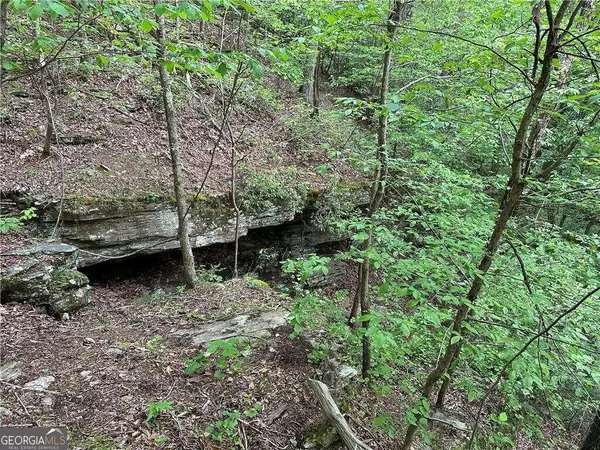 Rockmart, GA 30153,0 Paris Mountain RD