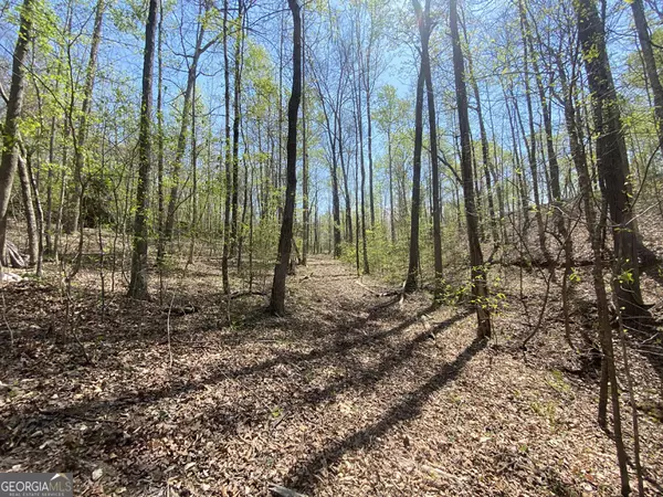 Martin, GA 30557,102 Hidden Knolls WAY