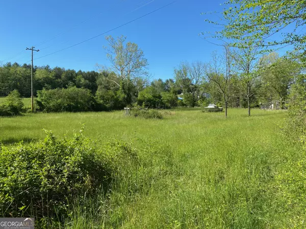 Brasstown, NC 28902,45 Green Cove RD