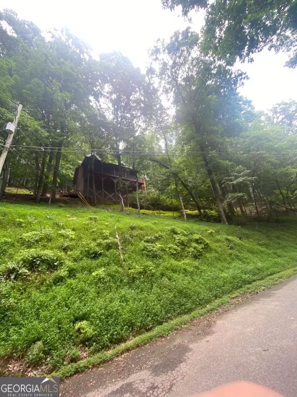 Ellijay, GA 30536,0 Skyview DR