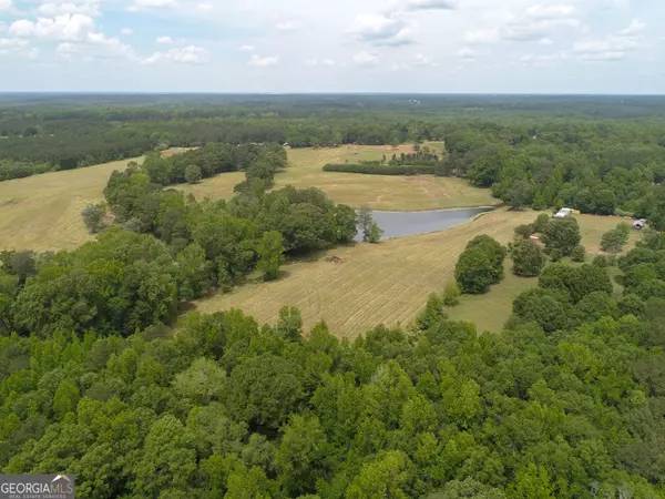 Concord, GA 30206,0 Old Zebulon RD #TRACT 1