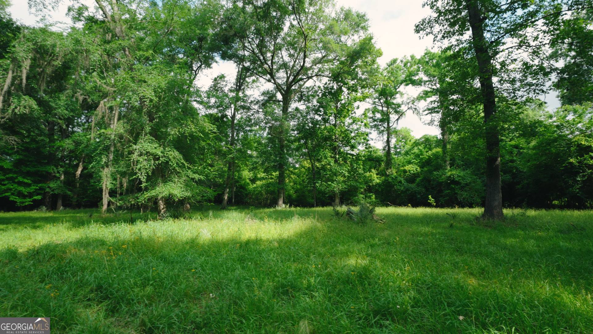 Jacksonville, GA 31544,0 East River RD