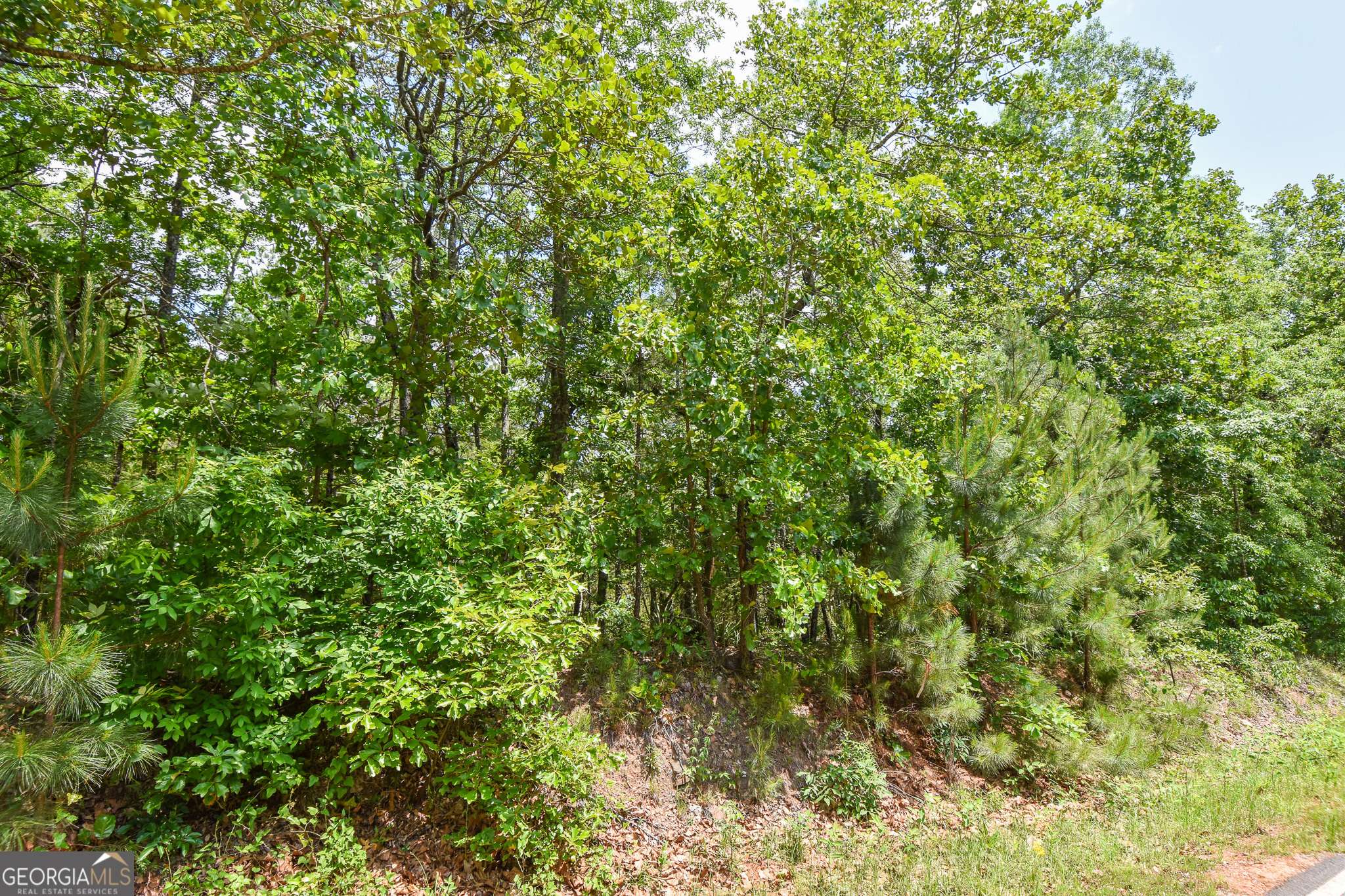 Thomaston, GA 30286,0 Skelton Road #LOT 11