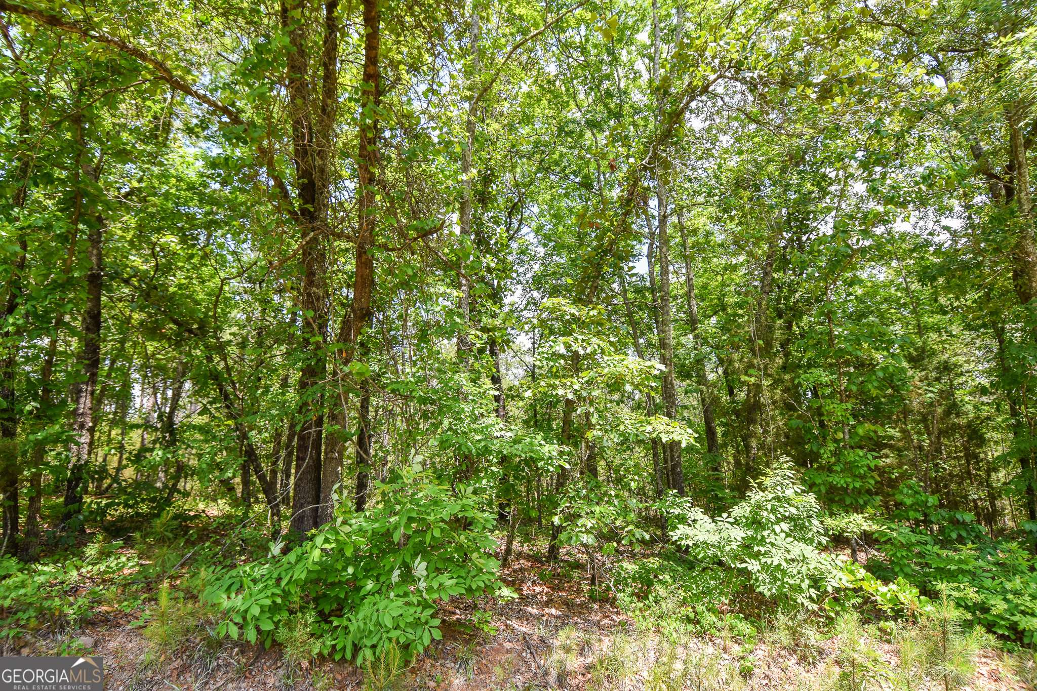 0 Skelton RD #LOT 12, Thomaston, GA 30286