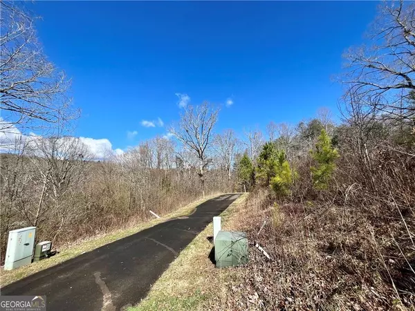 Ellijay, GA 30540,0 Oak Valley CT #113