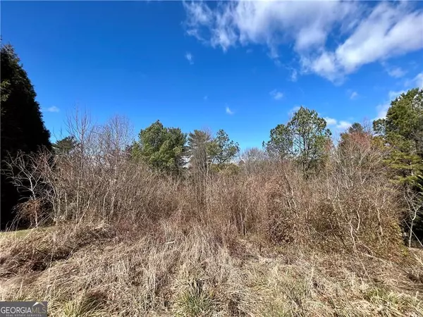 Ellijay, GA 30536,0 Ridgemont DR #13