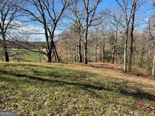 Ellijay, GA 30536,TRACT B- 10.76 Clear Creek Preserve Way