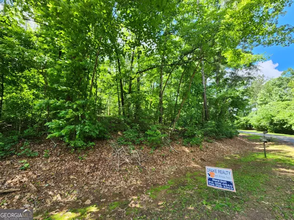 LOT 162 Sycamore Dr, Sparta, GA 31087