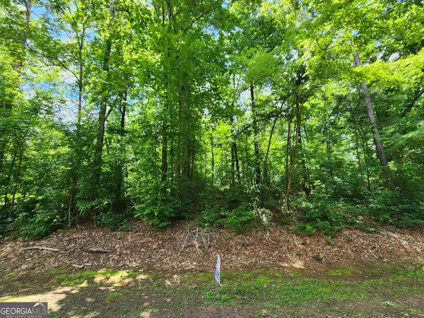 Sparta, GA 31087,LOT 162 Sycamore Dr