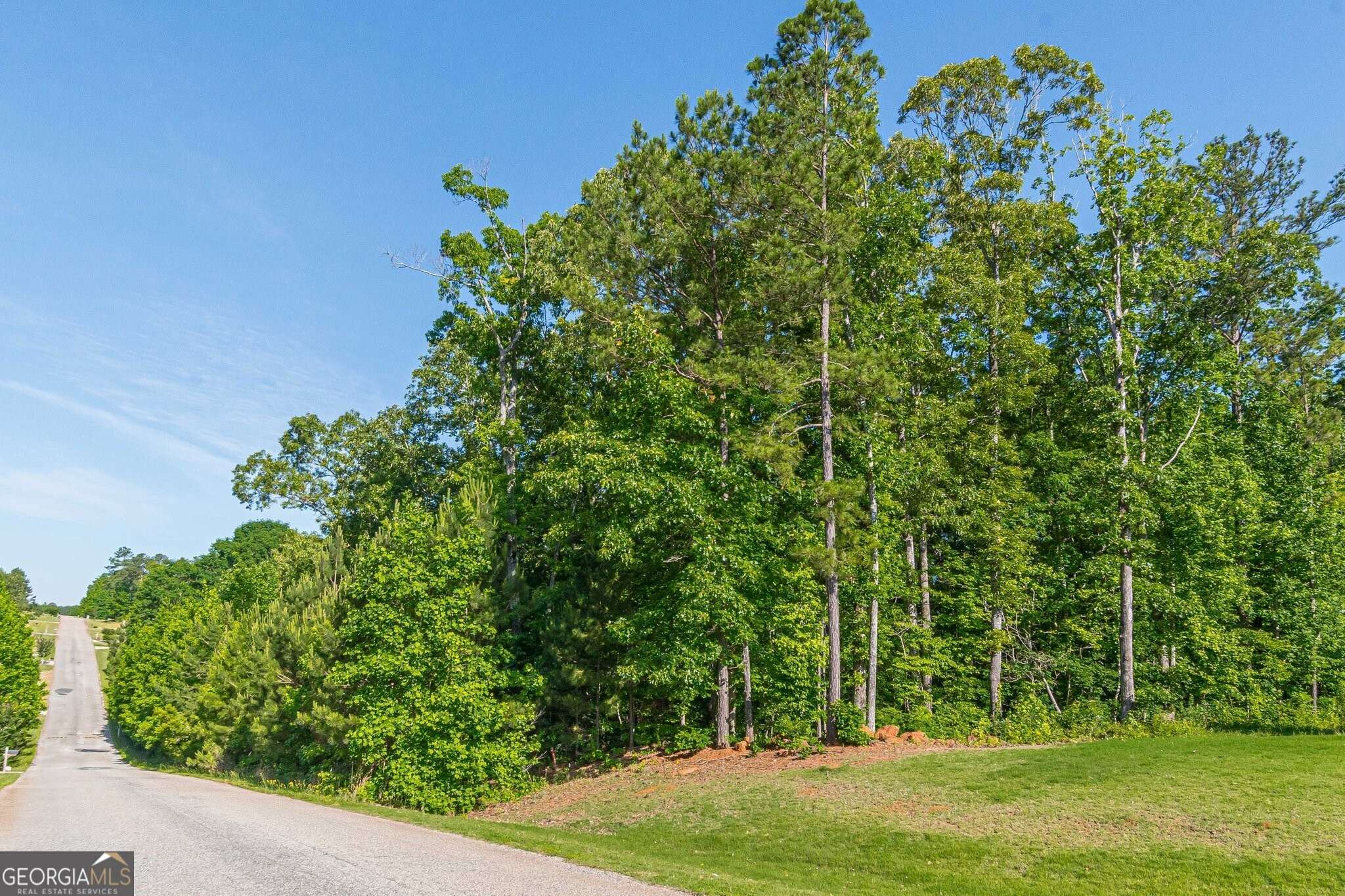 Luthersville, GA 30251,0 Hunter Welch Pkwy #LOT 132