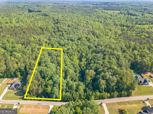 629 Hunter Welch Pkwy #LOT 133, Luthersville, GA 30251