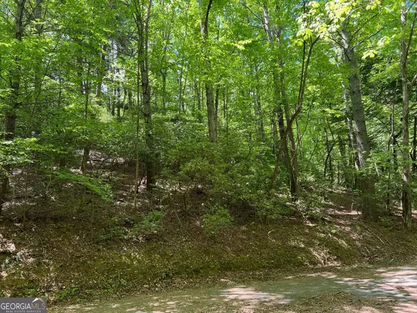 Ellijay, GA 30540,LOT 436 Okemah