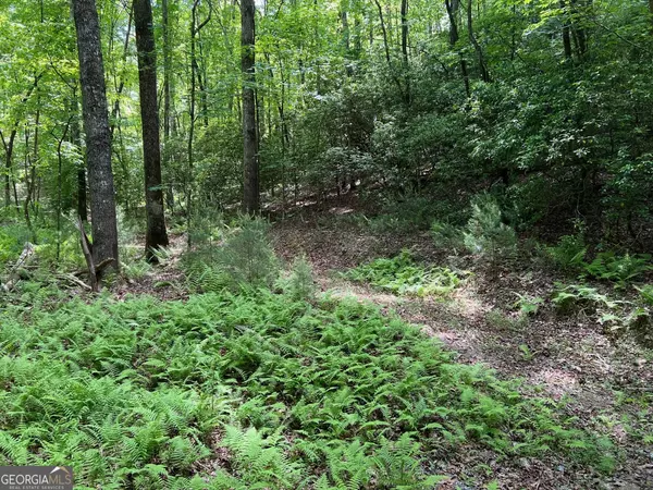 Ellijay, GA 30540,LOT 436 Okemah