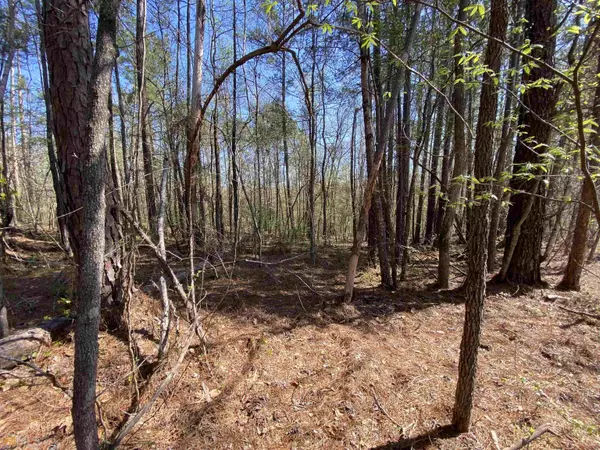 LOT 3 Peach Blossom, Sparta, GA 31087