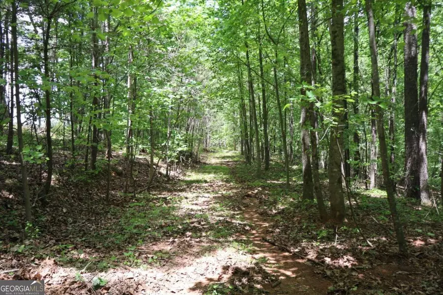 0 Parksbrook Road A, Ellijay, GA 30540