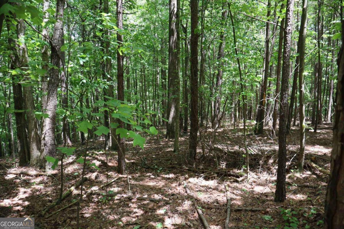 Ellijay, GA 30540,0 Parksbrook Road A