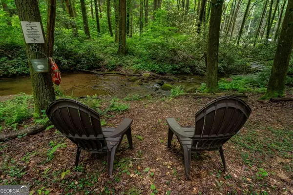 Ellijay, GA 30540,76 Creekside RD