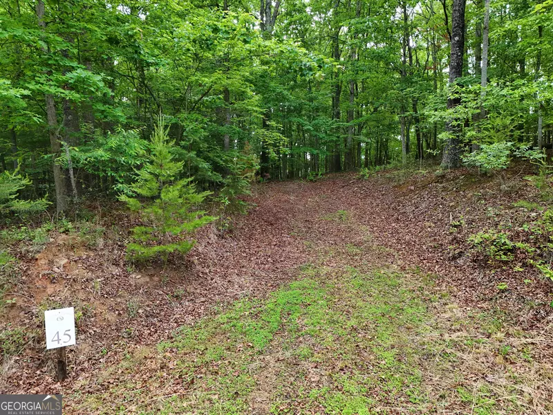 LOT 45 Cascading Brook, Blue Ridge, GA 30513