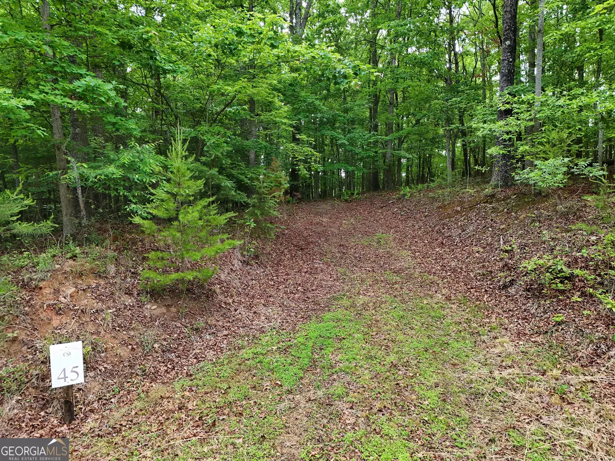 Blue Ridge, GA 30513,LOT 45 Cascading Brook