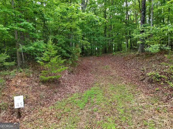 LOT 45 Cascading Brook LN, Blue Ridge, GA 30513