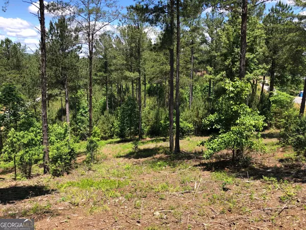 Blairsville, GA 30512,LOT 285 The Cove @ 1300