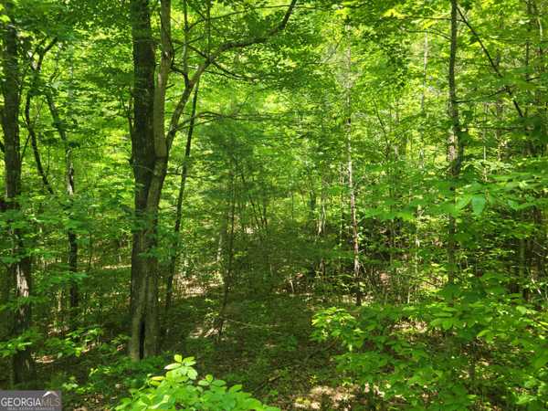 LOT 11, 12 Mountain Laurel Estates, Young Harris, GA 30582