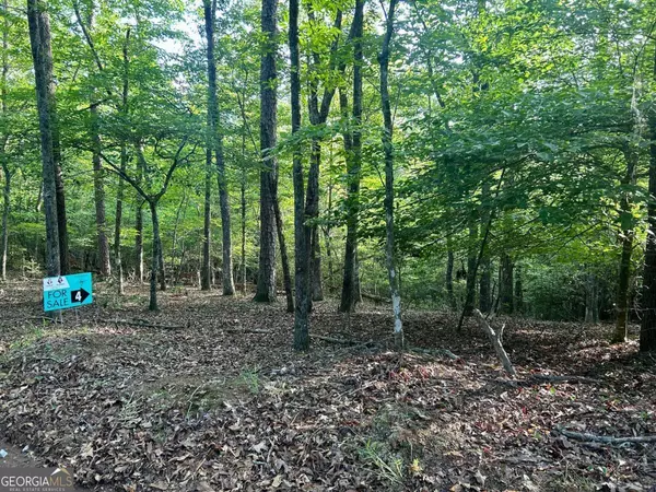 Dahlonega, GA 30533,04 Kate RD