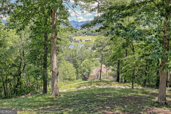 Hiawassee, GA 30546,1060 Vista