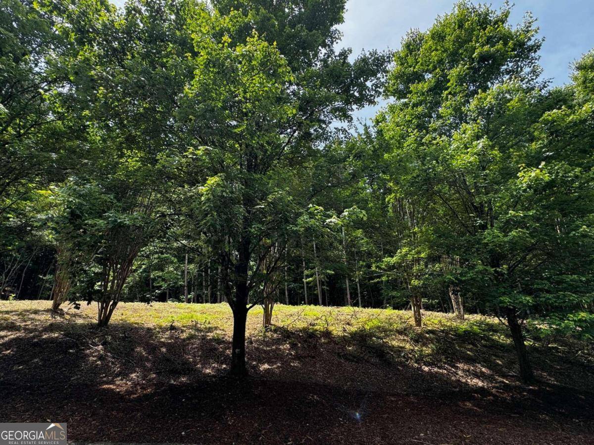 Athens, GA 30606,680 Mitchell Bridge RD #TRACT 1