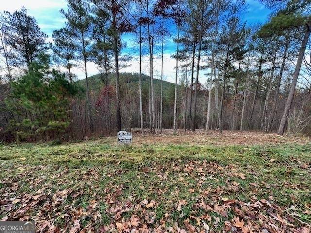 LT 62 Ridge Peak, Blairsville, GA 30512